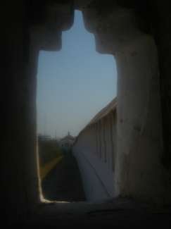 DSC08857.JPG